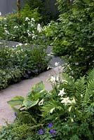 Shady green and white borders