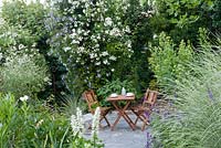 Rosa 'Guirland d'Amour', Clematis viticella 'Prinz Charles', Rosa 'Seagull', Salvia sclarea 'Alba', Miscanthus sinensis 'Morning Light' and patio with wooden chairs and table