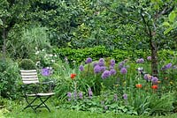Allium 'Globemaster', Rosa rubiginosa 'Fritz Nobis', Geranium x magnificuml, Iris barbata-elatior 'Caberet Royale', Stachys grandiflora