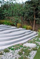 Stone steps in the Sentebale forget me not garden - Chelsea Flower Show 2013