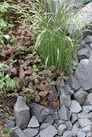 Trifolium 'William' and grasses - Chelsea Flower Show 2013. Sentebale Forget Me Not Garden. 