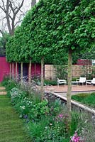 The Brewin Dolphin garden - Row of pleached Acer campestre in contemporary town garden