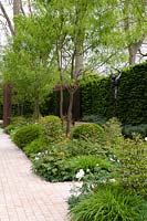 The Laurent Perrier Garden - Brick path alongside mixed borders with trees