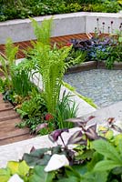 The Wasteland garden. Chelsea Flower Show 2013. Matteuccia struthiopteris with concrete walls, pond and timber decking