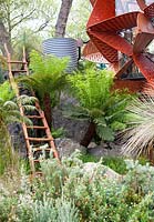 Trailfinders Australian Garden, Chelsea Flower Show 2013. Modern garden studio building with Tree Ferns, ladder and water butt.
