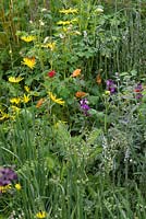 The Mindfulness Garden with Geum 'Totally Tangerine' in mixed border 