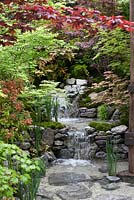 An Alcove - Tokanoma Garden with waterfall irises and acers 