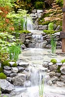An Alcove Garden with waterfall and Acer palmatum 