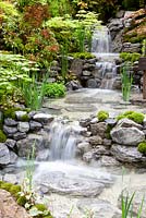 An Alcove Garden -  waterfall and Acer palmatum 