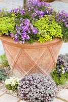 Container planting with Phlox subulata, Origanum majorana - RHS Chelsea Flower Show 2013, 