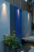 Wall panels with downlights in small urban garden. Zantedeschia in container