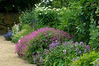 Summer garden with Lamium maculatum, Macleaya and Eupatorium rugosum. Kirtling Tower, Suffolk 