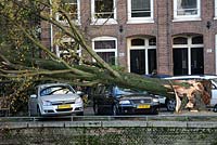 On the Hobbemakade a tree crushes a Volkswagen car after the St Judes Storm makes in Amsterdam, The Netherlands.  