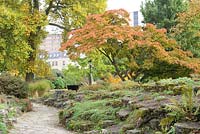 Autumn colour in Alpine Garden and Rockery. Andrews East Park, Southampton 
