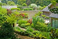 Overview of garden and walls with tropical planting at rear of house including tree ferns, hostas, cannas