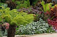 Beautifully composed informal  border of exotic tropical late summer bulbs and perennials 