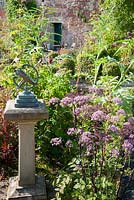Seating area near entrance to the walled garden with self seeded Angelica gigas, clipped box, and stooled Paulownia tomentosa