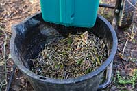 Bucket of shredded branches and cuttings