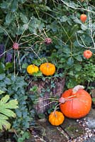 Autumnal display with Conker spiders and Pumpkins
