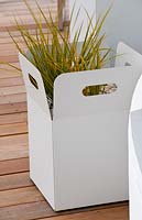 White cardboard box container with grass