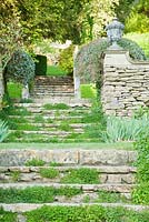 Stone steps link terracing on the steep site, framed with clipped rosemary bushes. Iford Manor, Bradford-on-Avon, Wiltshire