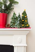 Variety of trees with different decorations on mantelpiece
