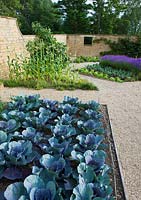 The potager / vegetable garden with cabbages, sweet corn and lavender