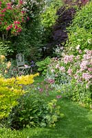 Informal garden with Acer shirasawanum 'Aureum', Alchemilla mollis, Astrantia, Cotinus coggygria 'Royal Purple', Hosta and Lychnis coronaria