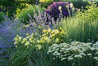 The pastel coloured mixed border at Weihenstephan gardens. Hemerocallis 'Atlas', Achillea 'Hella Glashoff' and Clematis viticella 'Etoile Violette'