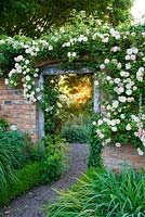 Rosa 'Phyllis Bide' over doorway from long walk into croft garden