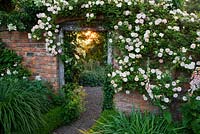 Rosa 'Phyllis Bide' over doorway from long walk into croft garden
