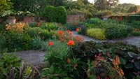View across lanhydrock garden showing Aquilegia, Canna hybrid, Erysimum 'Apricot Delight' and Papaver 'Beauty of Livermere'
