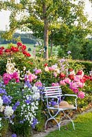 Straw hat on a white painted garden chair in front of a peony border with Paeonia lactiflora 'Bunker Hill', Paeonia Lactiflora 'Catharina Fontijn', Paeonia lactiflora Hybride 'West Elkton' and Campanula persicifolia var. grandiflora with Pyrus domestica behind