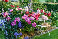 Straw hat on a white painted garden chair in front of a peony border with Paeonia Lactiflora 'Catharina Fontijn', Paeonia lactiflora Hybride'West Elkton' and Campanula persicifolia var. grandiflora