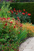 Lanhydrock garden hot border with Salvia 'Cerro Potosi' Dahlia 'Ragged Robin and Dahlia 'Grenadier' '