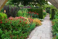 Pathway in Lanhydrock garden hot border with Salvia 'Cerro Potosi' and Dahlia 'Ragged Robin', Dahlia 'Grenadier' 