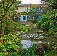 Japanese style garden - view to the east side of the house with pond, waterlilies and clipped pine