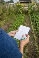 Planning a vegetable plot, making notes