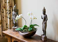 Houseplant - white Phalaenopsis orchid in container on wooden sideboard 