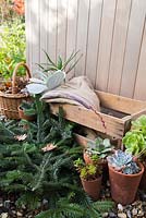 Materials needed for essential winter protection of tender plants