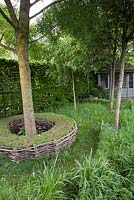 Naturalistic turf seat around tree trunk with shed beyond