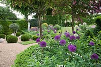Extensive planting of Alliums with Pink Hawthorn, topiary and decorative wooden obelisk in formal country garden