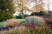 Dramatic mixed autumn border with Rosa, Pennisetum, Calamagrostis brachytricha,  Miscanthus sinensis variegatus, Borde Hill Gardens, Sussex UK