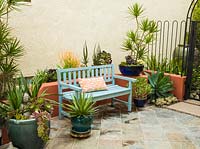 Wooden bench on paved courtyard with Yucca filamentosa, Dracaena, Crassula, Agave attenuata, Aeonium, Aloe, Euphorbia and Crassula in containers 