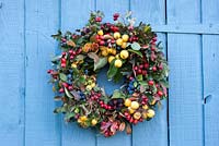 Autumn wreath made from hedgerow plants - malus, crataegus, rosa, rubus fruitcosa