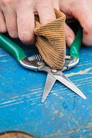 Protecting Secateurs by oiling and lubricating metal sections