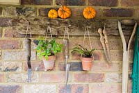 Rustic Tool Rack with plants in terracotta pots and renovated tools. 