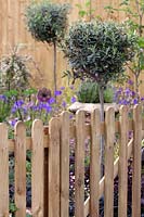 Wooden fence and gate 'Care and Reflection' Garden by Aidan Tagg, BBC Gardener's World 2013