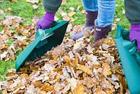 Woman using hand leaf scoops to clear garden of autumnal leaves