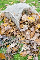 Hessian sack full of autumnal leaves besides a rake